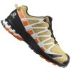 Salomon XA Pro 3D V8 Gore-Tex Laufschuhe Fall Leaf/Vibrant Herren
