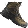 Salomon Quest 4 Gore-Tex Wanderboots Desert Palm/Black/Kelp Herren