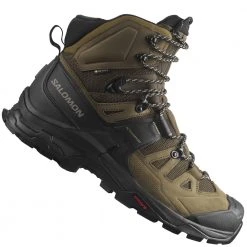 Salomon Quest 4 Gore-Tex Wanderboots Desert Palm/Black/Kelp Herren